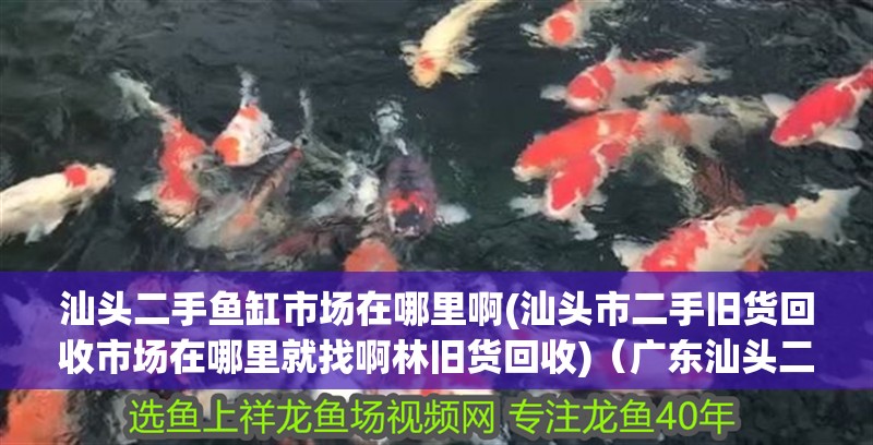 魚缸用增氧泵價格是多少:魚缸增氧機-xtrac增氧機-xtrac增氧機 汕頭二手魚缸市場在哪里啊(汕頭市二手舊貨回收市場在哪里就找啊林舊貨回收)(廣東汕頭二手魚缸市場在哪里) 觀賞魚百科 汕頭二手魚缸市場在哪里啊(汕頭市二手舊貨回收市場在哪里就找啊林舊貨回收)(廣東汕頭二手魚缸市場在哪里) 汕頭二手魚缸市場在哪里啊(汕頭市二手舊貨回收市場在哪里就找啊林舊貨回收)(廣東汕頭二手魚缸市場在哪里) 觀賞魚百科