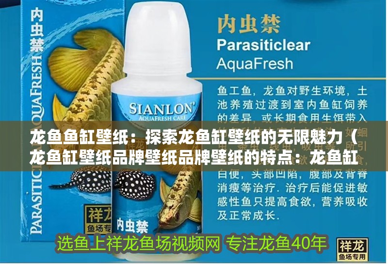 龍魚魚缸壁紙：探索龍魚缸壁紙的無限魅力（龍魚缸壁紙品牌壁紙品牌壁紙的特點(diǎn)：龍魚缸壁紙品牌）