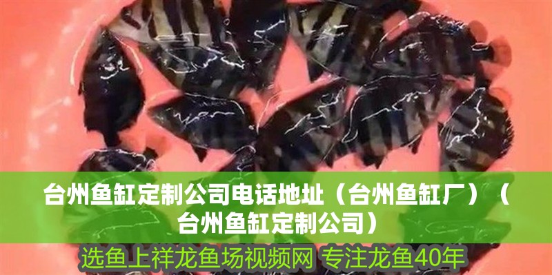 臺州魚缸定制公司電話地址（臺州魚缸廠）（臺州魚缸定制公司）