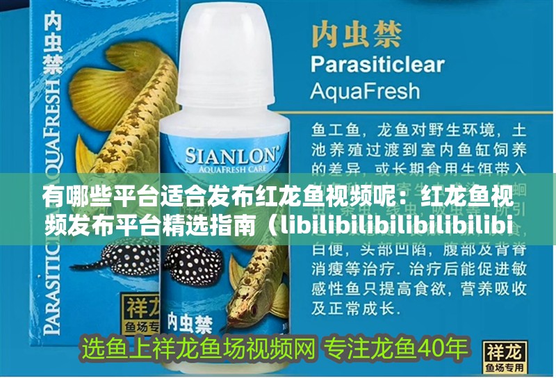 有哪些平臺適合發(fā)布紅龍魚視頻呢：紅龍魚視頻發(fā)布平臺精選指南（libilibilibilibilibilibilibilibilibilibi） 有哪些平臺適合發(fā)布紅龍魚視頻呢：紅龍魚視頻發(fā)布平臺精選指南（libilibilibilibilibilibilibilibilibilibi） 水族問答