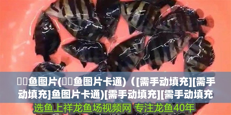鮟鱇魚圖片(鮟鱇魚圖片卡通)（[需手動填充][需手動填充]魚圖片卡通)[需手動填充][需手動填充]魚圖片和[需手動填充][需手動填充]魚圖片卡通)）