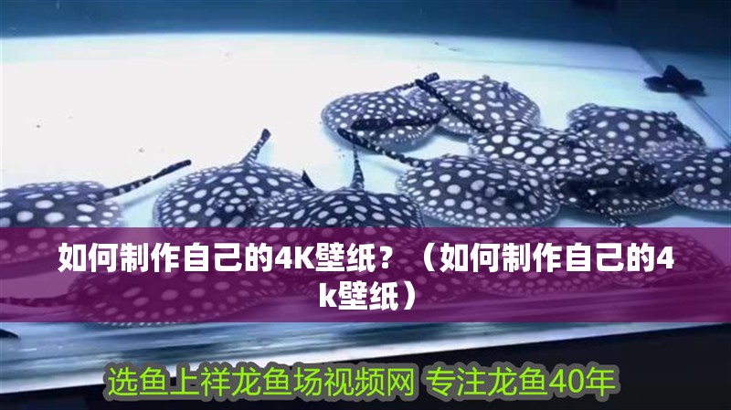 如何制作自己的4K壁紙？（如何制作自己的4k壁紙）