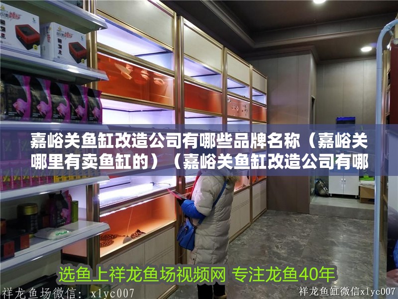 嘉峪關魚缸改造公司有哪些品牌名稱（嘉峪關哪里有賣魚缸的）（嘉峪關魚缸改造公司有哪些品牌名稱）