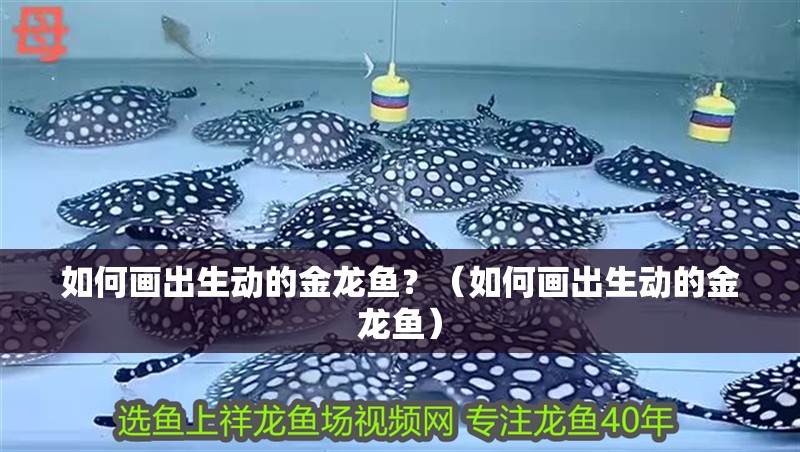 如何畫出生動的金龍魚？（如何畫出生動的金龍魚） 如何畫出生動的金龍魚？（如何畫出生動的金龍魚） 龍魚百科