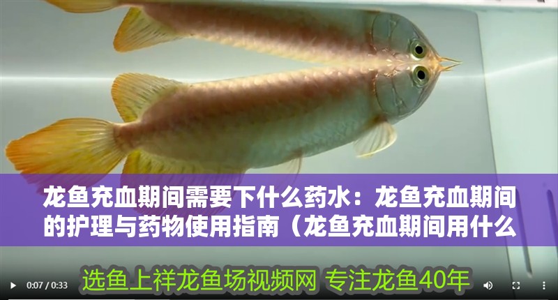 龍魚充血期間需要下什么藥水：龍魚充血期間的護理與藥物使用指南（龍魚充血期間用什么藥）