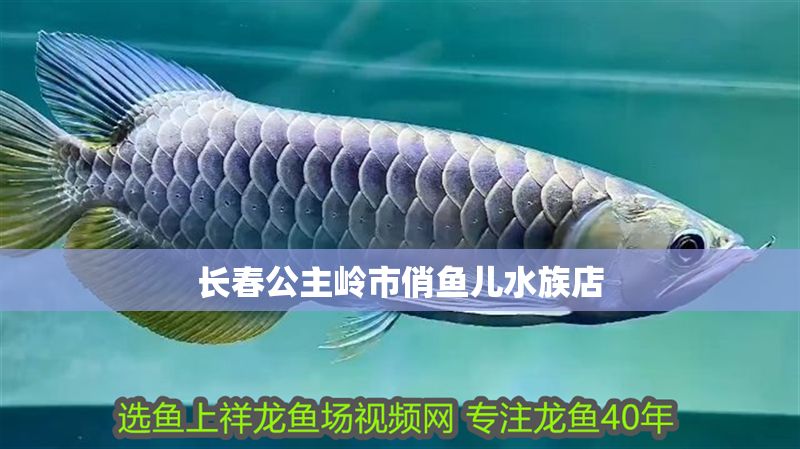 長春公主嶺市俏魚兒水族店