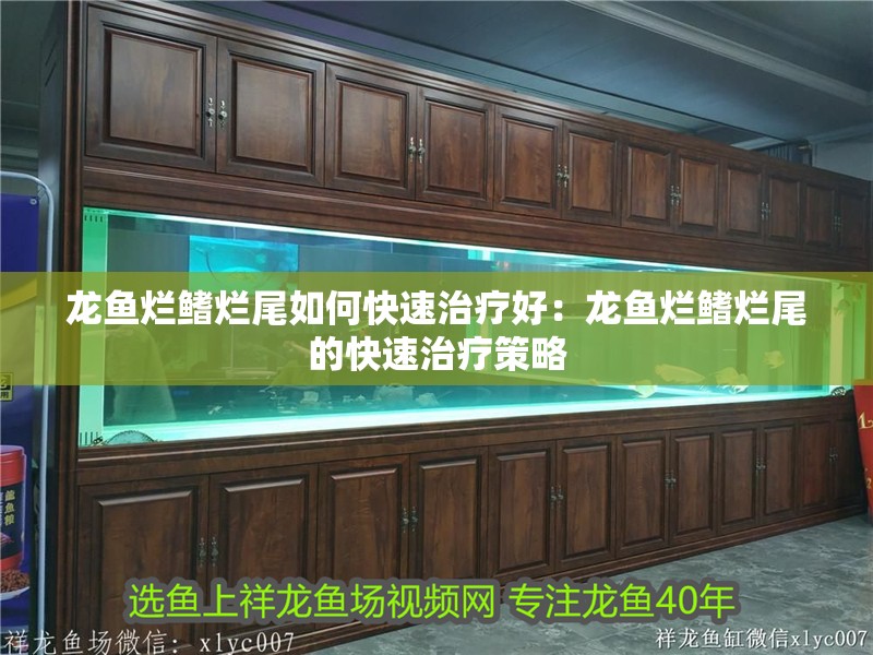 龍魚爛鰭爛尾如何快速治療好：龍魚爛鰭爛尾的快速治療策略