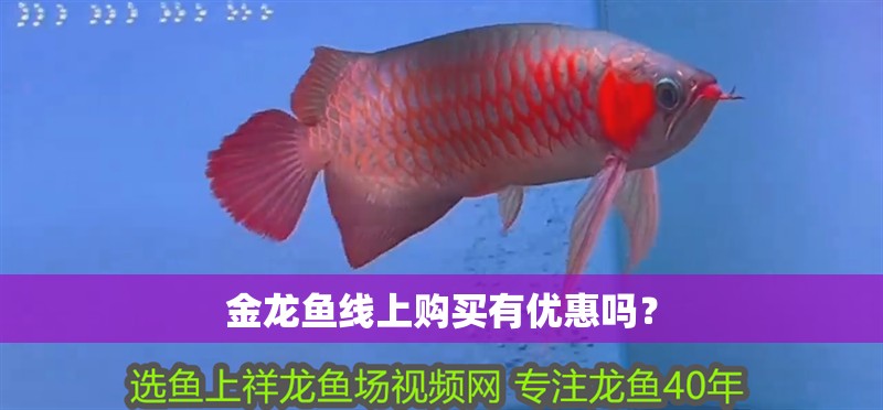 金龍魚線上購買有優(yōu)惠嗎？