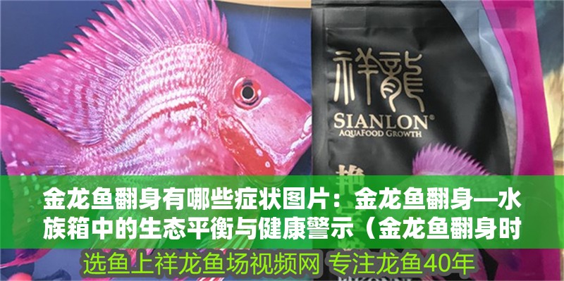 金龍魚翻身有哪些癥狀圖片：金龍魚翻身—水族箱中的生態平衡與健康警示（金龍魚翻身時金龍魚翻身的原因是什么，金龍魚翻身的原因）