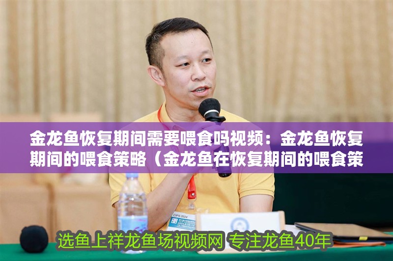 金龍魚恢復期間需要喂食嗎視頻：金龍魚恢復期間的喂食策略（金龍魚在恢復期間的喂食策略是確保其健康和活力的關鍵）