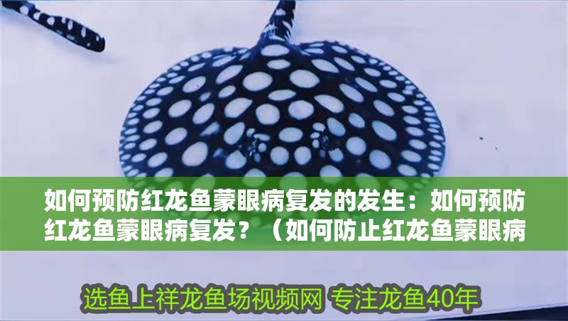 如何預(yù)防紅龍魚蒙眼病復(fù)發(fā)的發(fā)生：如何預(yù)防紅龍魚蒙眼病復(fù)發(fā)？（如何防止紅龍魚蒙眼病復(fù)發(fā)）