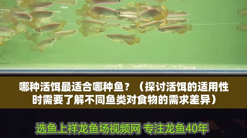 哪種活餌最適合哪種魚？（探討活餌的適用性時需要了解不同魚類對食物的需求差異）