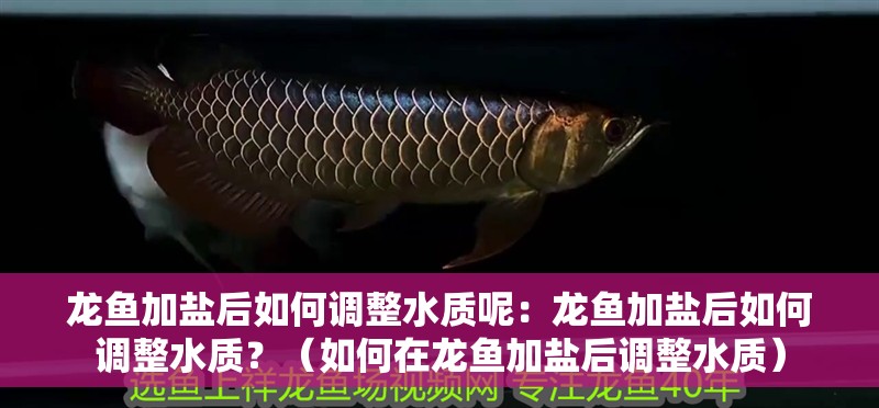 龍魚加鹽后如何調整水質呢：龍魚加鹽后如何調整水質？（如何在龍魚加鹽后調整水質）