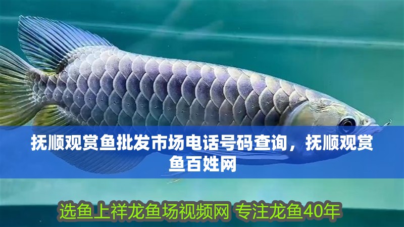 撫順觀賞魚批發(fā)市場電話號(hào)碼查詢，撫順觀賞魚百姓網(wǎng)