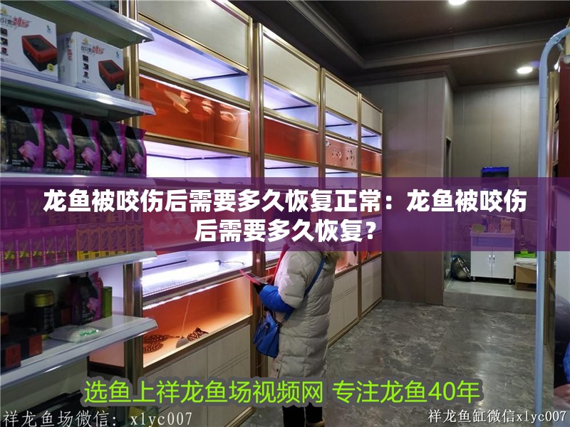 龍魚被咬傷后需要多久恢復正常：龍魚被咬傷后需要多久恢復？