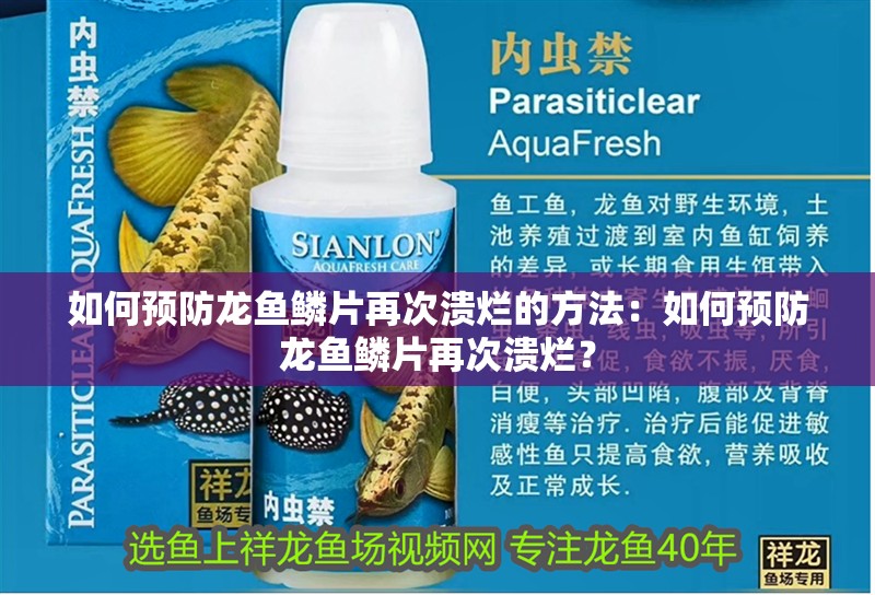 如何預防龍魚鱗片再次潰爛的方法：如何預防龍魚鱗片再次潰爛？