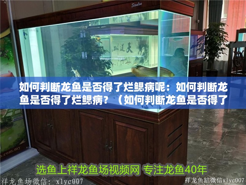 如何判斷龍魚是否得了爛鰓病呢：如何判斷龍魚是否得了爛鰓病？（如何判斷龍魚是否得了爛鰓病）