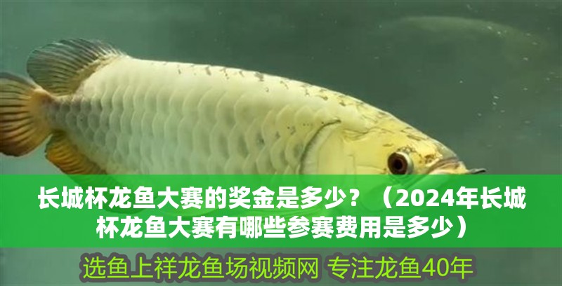 長城杯龍魚大賽的獎金是多少？（2024年長城杯龍魚大賽有哪些參賽費用是多少）