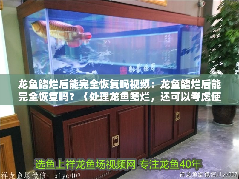 龍魚鰭爛后能完全恢復嗎視頻：龍魚鰭爛后能完全恢復嗎？（處理龍魚鰭爛，還可以考慮使用嗎）