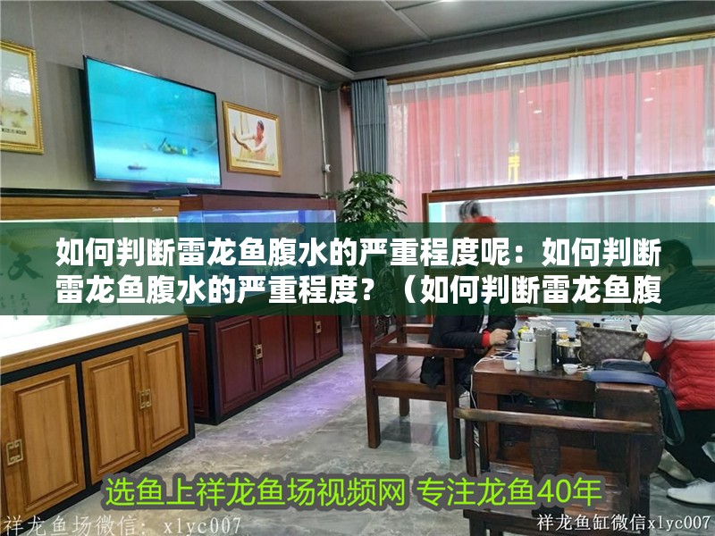 如何判斷雷龍魚(yú)腹水的嚴(yán)重程度呢：如何判斷雷龍魚(yú)腹水的嚴(yán)重程度？（如何判斷雷龍魚(yú)腹水嚴(yán)重程度）