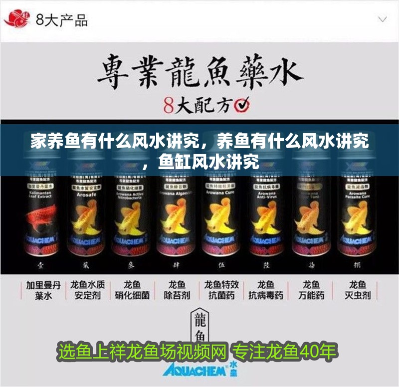 家養魚有什么風水講究，養魚有什么風水講究，魚缸風水講究