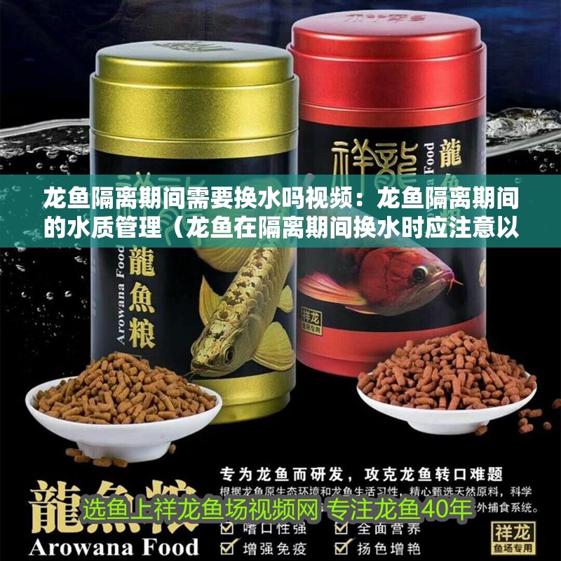 龍魚隔離期間需要換水嗎視頻：龍魚隔離期間的水質(zhì)管理（龍魚在隔離期間換水時應(yīng)注意以下幾點，確保龍魚健康）
