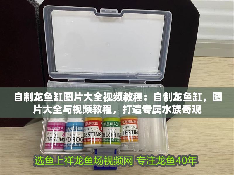 自制龍魚缸圖片大全視頻教程：自制龍魚缸，圖片大全與視頻教程，打造專屬水族奇觀