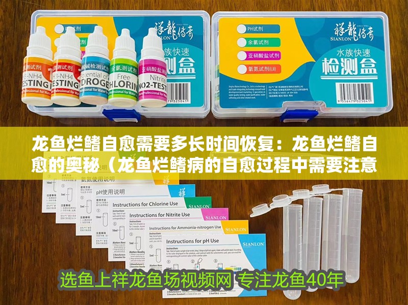 龍魚爛鰭自愈需要多長時間恢復：龍魚爛鰭自愈的奧秘（龍魚爛鰭病的自愈過程中需要注意的事項）