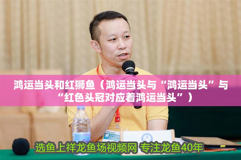 鴻運當頭和紅獅魚（鴻運當頭與“鴻運當頭”與“紅色頭冠對應著鴻運當頭”）