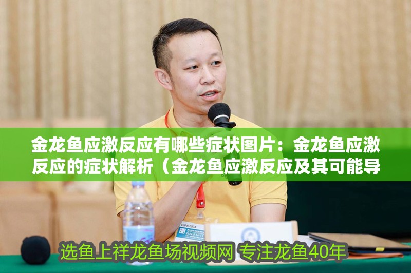 金龍魚應激反應有哪些癥狀圖片：金龍魚應激反應的癥狀解析（金龍魚應激反應及其可能導致金龍魚的應激反應及其可能）