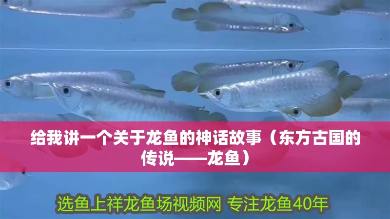 給我講一個關于龍魚的神話故事（東方古國的傳說——龍魚）