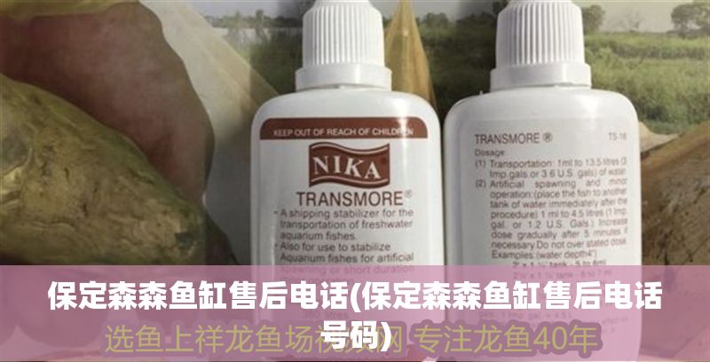 保定森森魚缸售后電話(保定森森魚缸售后電話號(hào)碼) 龍魚百科 第1張 保定森森魚缸售后電話(保定森森魚缸售后電話號(hào)碼) 保定森森魚缸售后電話(保定森森魚缸售后電話號(hào)碼) 龍魚百科 第1張