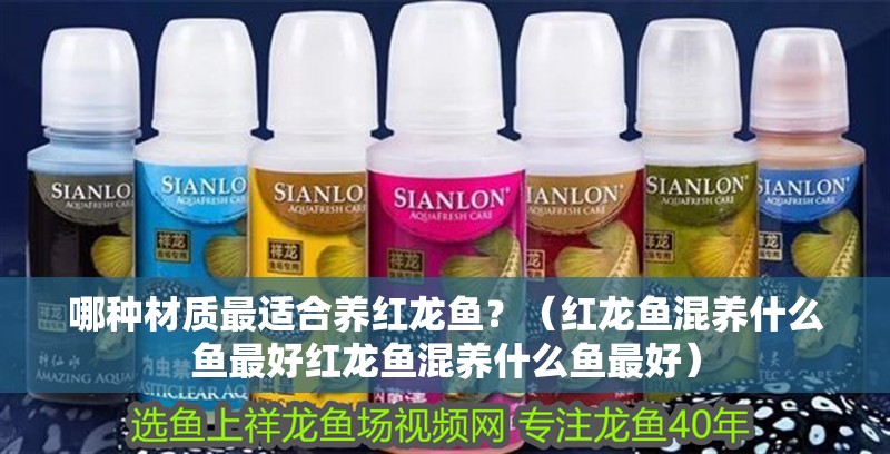 哪種材質最適合養紅龍魚？（紅龍魚混養什么魚最好紅龍魚混養什么魚最好） 哪種材質最適合養紅龍魚？（紅龍魚混養什么魚最好紅龍魚混養什么魚最好） 龍魚百科