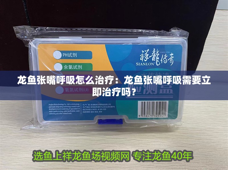 龍魚張嘴呼吸怎么治療：龍魚張嘴呼吸需要立即治療嗎？