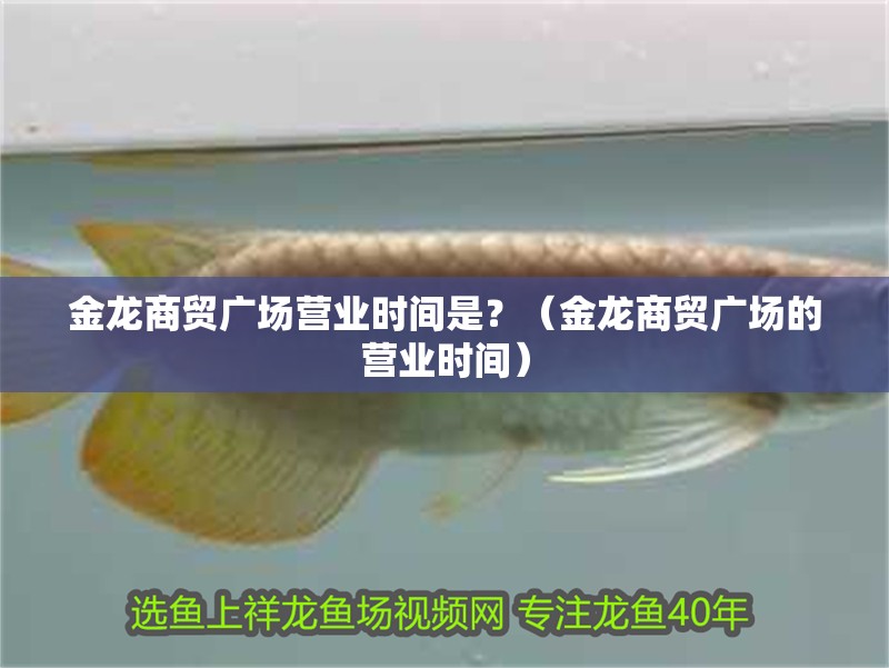 魚缸用增氧泵價格是多少:魚缸增氧機-xtrac增氧機-xtrac增氧機 金龍商貿廣場營業時間是?(金龍商貿廣場的營業時間) 龍魚百科 金龍商貿廣場營業時間是?(金龍商貿廣場的營業時間) 金龍商貿廣場營業時間是?(金龍商貿廣場的營業時間) 龍魚百科