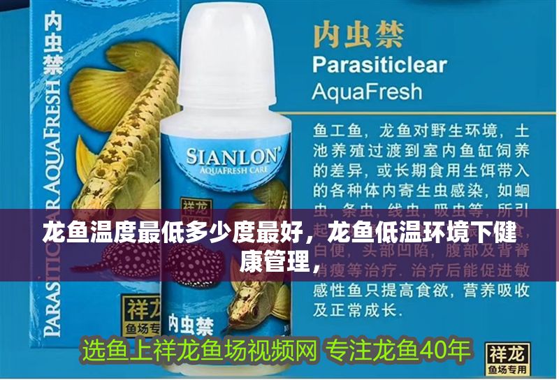 龍魚溫度最低多少度最好，龍魚低溫環境下健康管理，