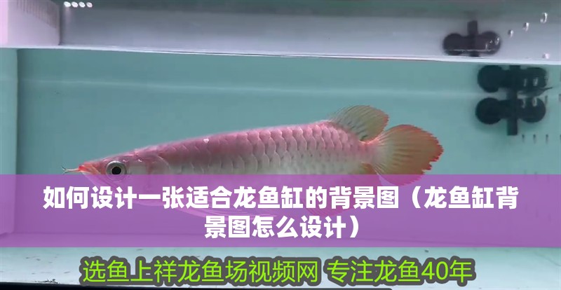 如何設(shè)計一張適合龍魚缸的背景圖（龍魚缸背景圖怎么設(shè)計）