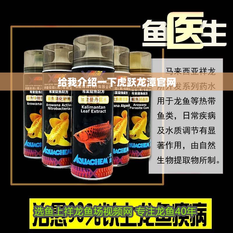 給我介紹一下虎躍龍潭官網