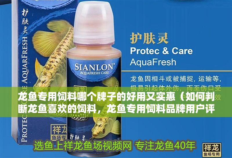 龍魚專用飼料哪個牌子的好用又實惠（如何判斷龍魚喜歡的飼料，龍魚專用飼料品牌用戶評價）