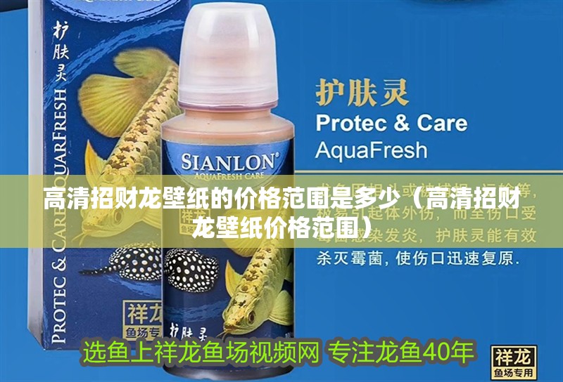 高清招財龍壁紙的價格范圍是多少（高清招財龍壁紙價格范圍）