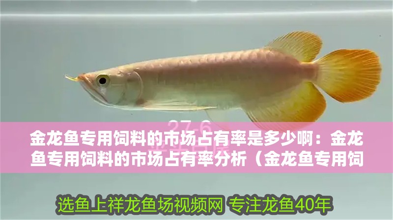 金龍魚專用飼料的市場(chǎng)占有率是多少啊：金龍魚專用飼料的市場(chǎng)占有率分析（金龍魚專用飼料市場(chǎng)占有率提升金龍魚專用飼料市場(chǎng)占有率）