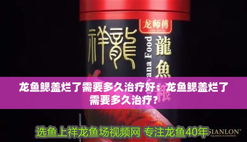 龍魚鰓蓋爛了需要多久治療好：龍魚鰓蓋爛了需要多久治療？