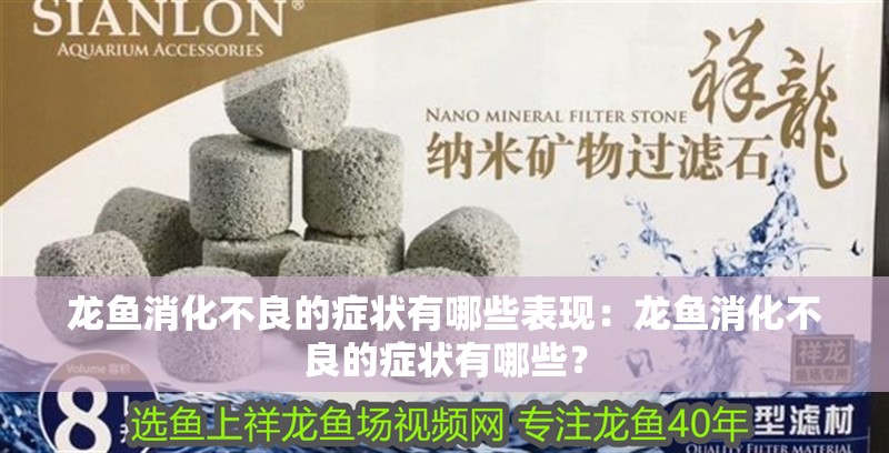 龍魚消化不良的癥狀有哪些表現：龍魚消化不良的癥狀有哪些？