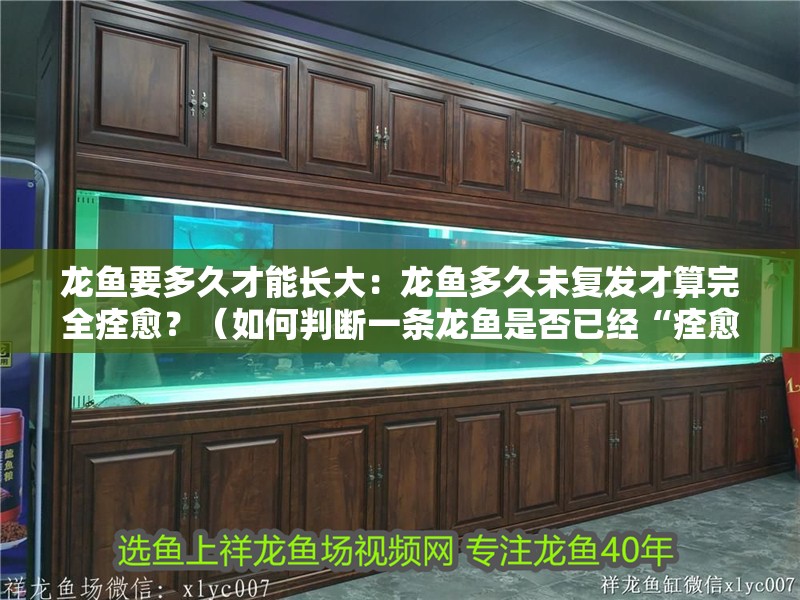 龍魚要多久才能長大：龍魚多久未復(fù)發(fā)才算完全痊愈？（如何判斷一條龍魚是否已經(jīng)“痊愈”） 龍魚要多久才能長大：龍魚多久未復(fù)發(fā)才算完全痊愈？（如何判斷一條龍魚是否已經(jīng)“痊愈”） 水族問答