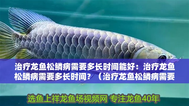 治療龍魚(yú)松鱗病需要多長(zhǎng)時(shí)間能好：治療龍魚(yú)松鱗病需要多長(zhǎng)時(shí)間？（治療龍魚(yú)松鱗病需要多長(zhǎng)時(shí)間呢？）