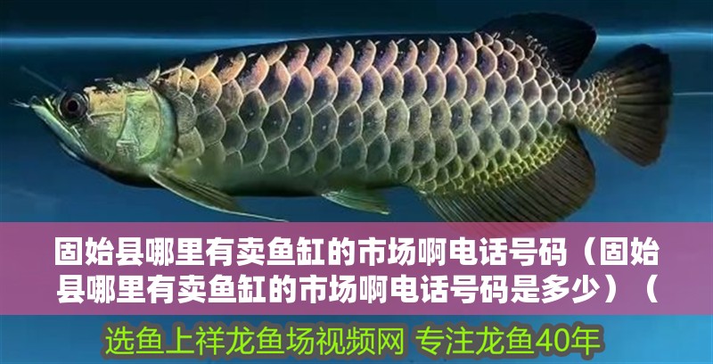 固始縣哪里有賣魚(yú)缸的市場(chǎng)啊電話號(hào)碼（固始縣哪里有賣魚(yú)缸的市場(chǎng)啊電話號(hào)碼是多少）（固始縣哪里有賣魚(yú)缸的市場(chǎng)）