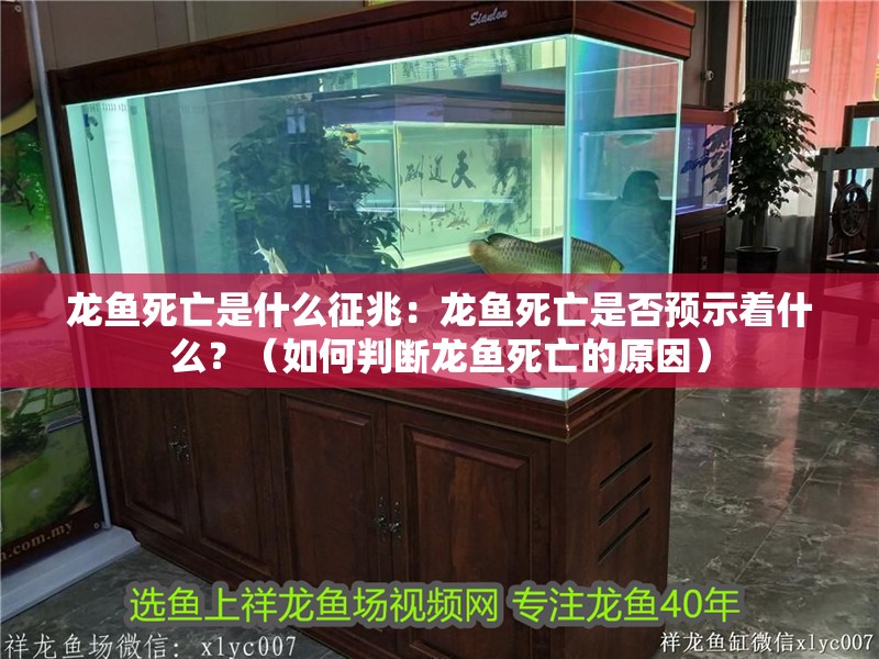 龍魚死亡是什么征兆：龍魚死亡是否預示著什么？（如何判斷龍魚死亡的原因）