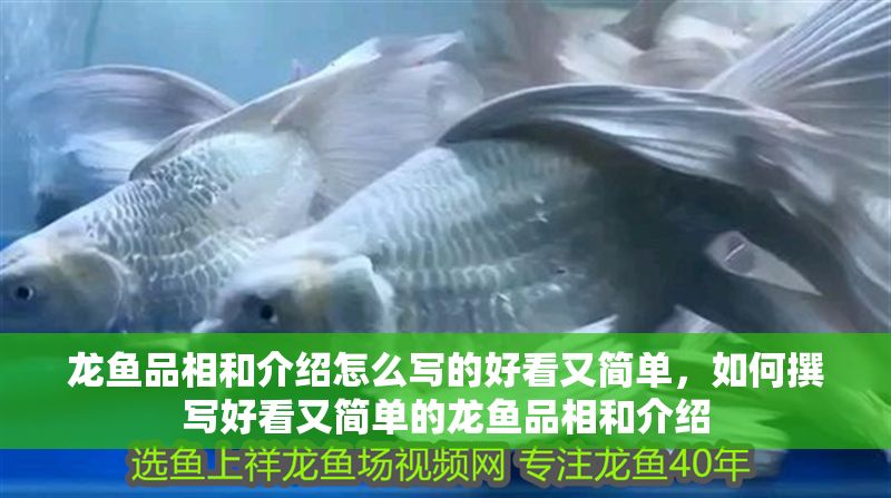 龍魚品相和介紹怎么寫的好看又簡單，如何撰寫好看又簡單的龍魚品相和介紹