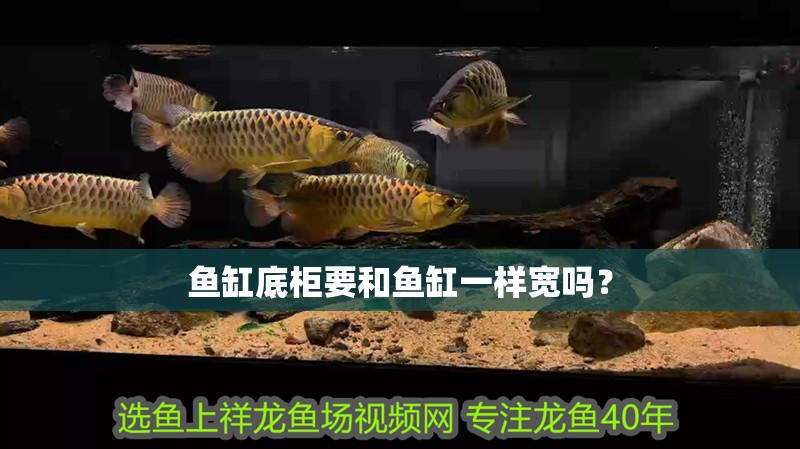 魚缸底柜要和魚缸一樣寬嗎?