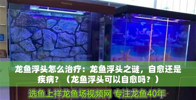 龍魚蒙眼破裂(龍魚蒙眼病眼睛破了)